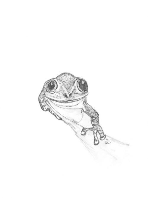 Froggy